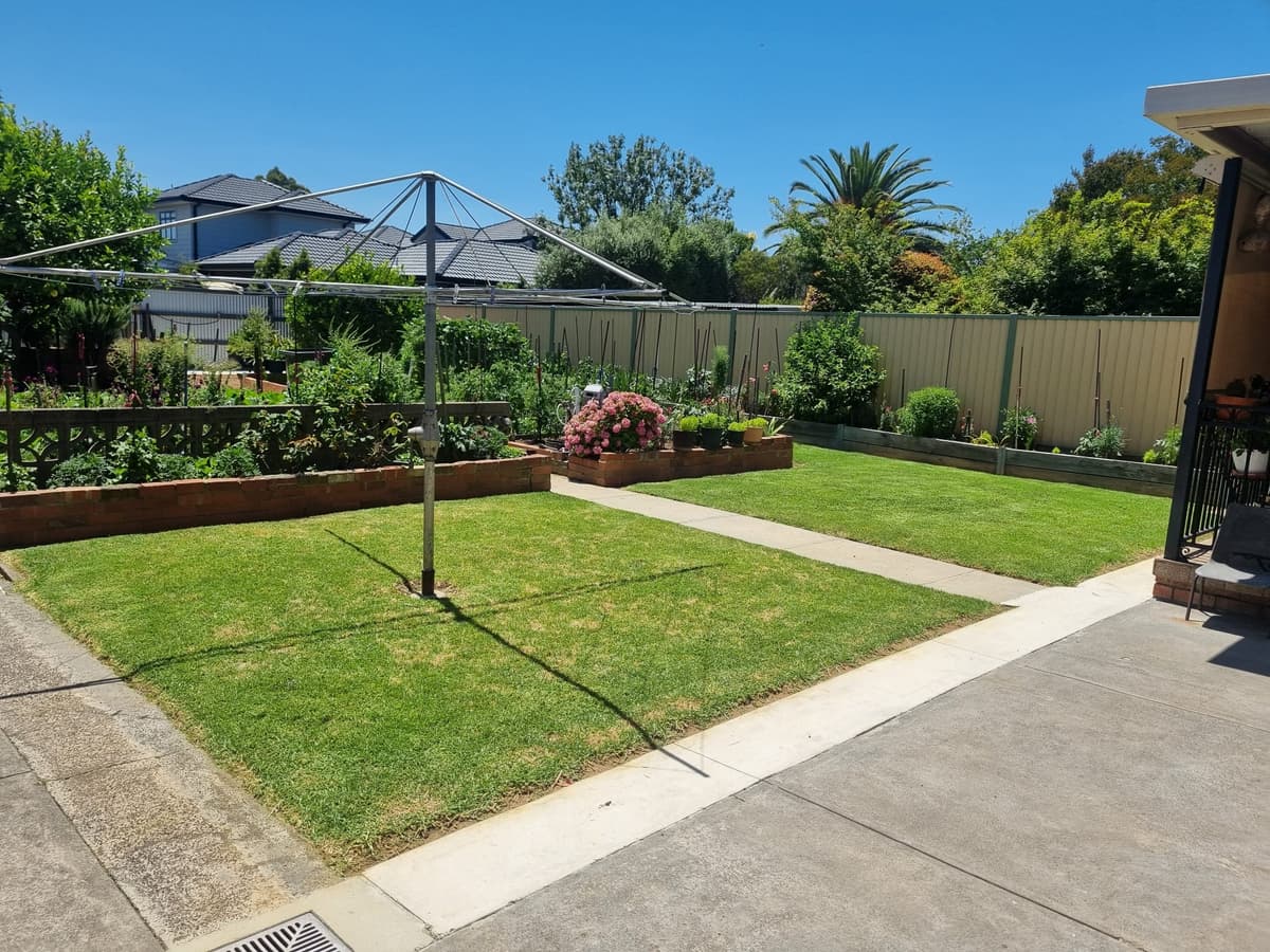 Professional Rubbish Removal Services