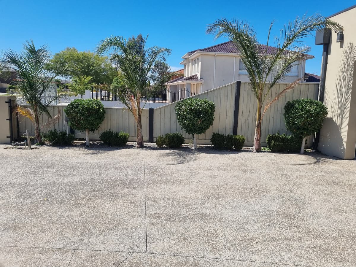 Professional Hedge Trimming Services