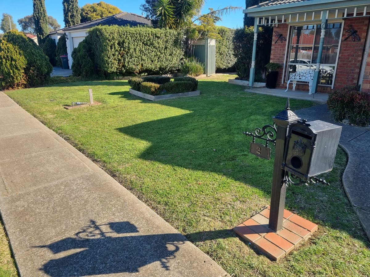 Professional Lawn Mowing Services