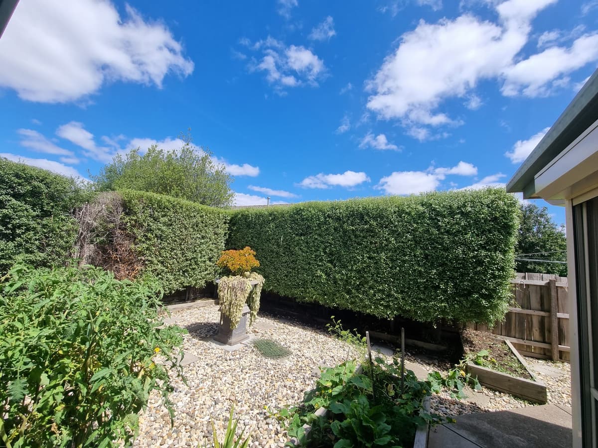 Professional Stump Removal Services