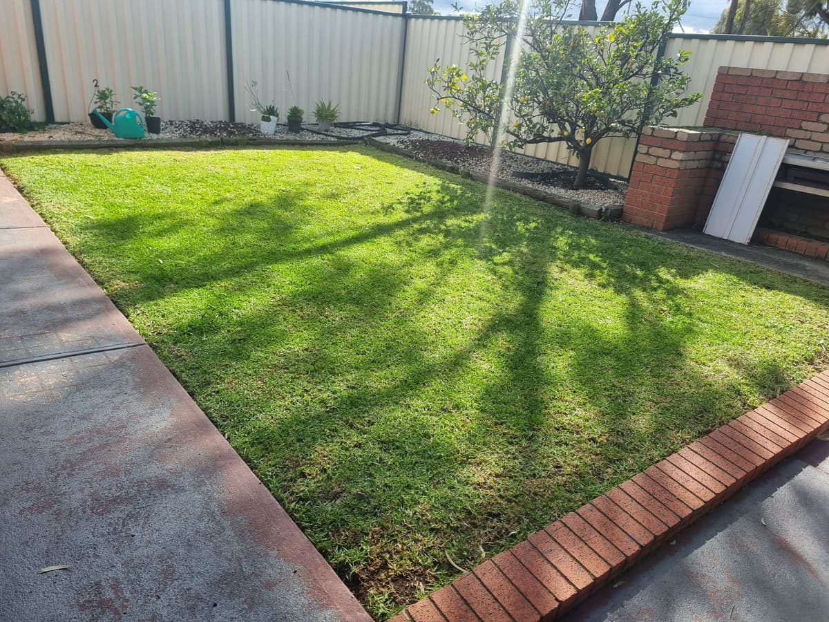 Professional Weeding Services